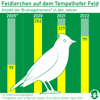 Brutvoegel_Feldlerche_THF_Vergleich_24